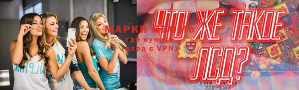 прущие грибы Камышин
