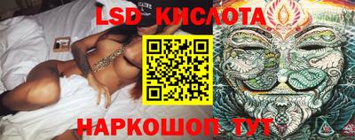 шишки Гай