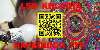 прущие грибы Абинск