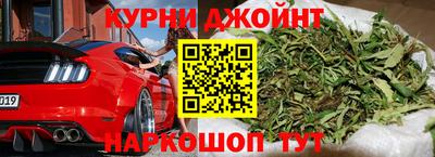 шишки Гай
