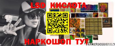 прущие грибы Абинск