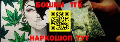 шишки Гай