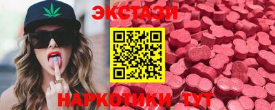шишки Гай