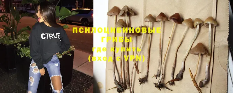 Галлюциногенные грибы GOLDEN TEACHER Алейск
