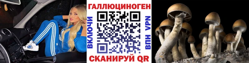 Псилоцибиновые грибы ЛСД  наркошоп  Алейск 