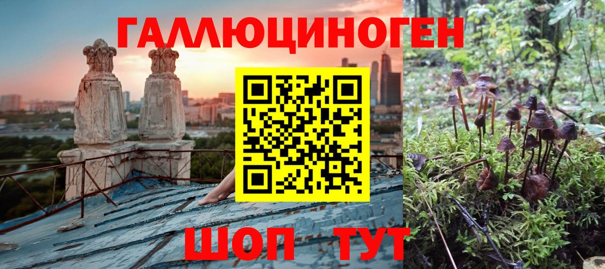 Галлюциногенные грибы мицелий Алейск