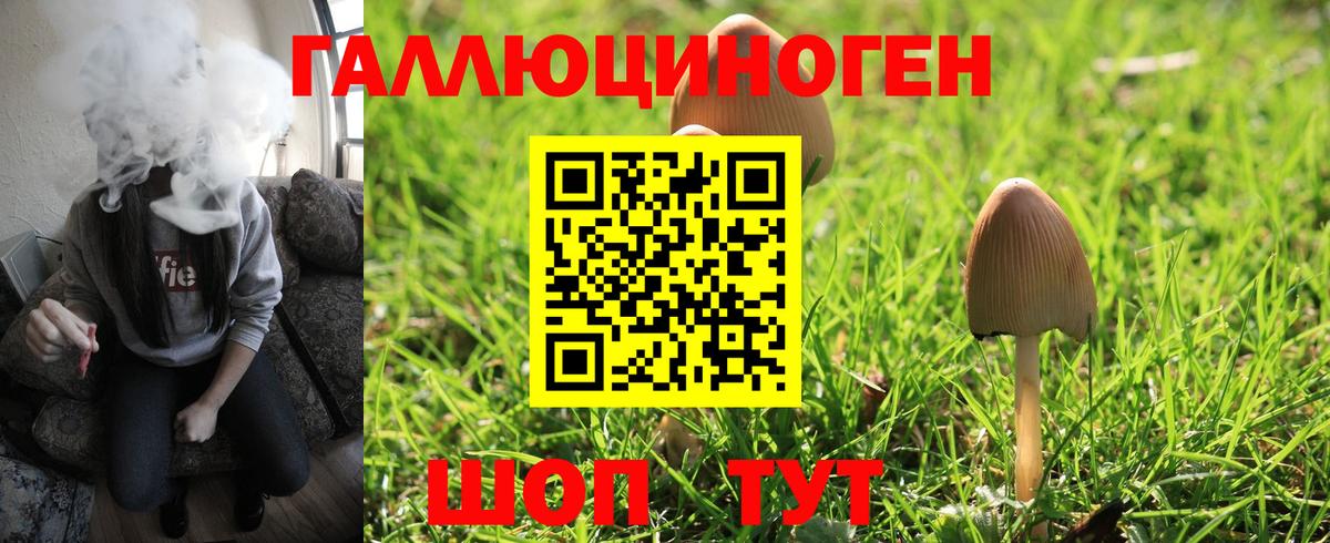 Галлюциногенные грибы ЛСД  Псилоцибиновые грибы MAGIC MUSHROOMS  Вход с VPN  Алейск 