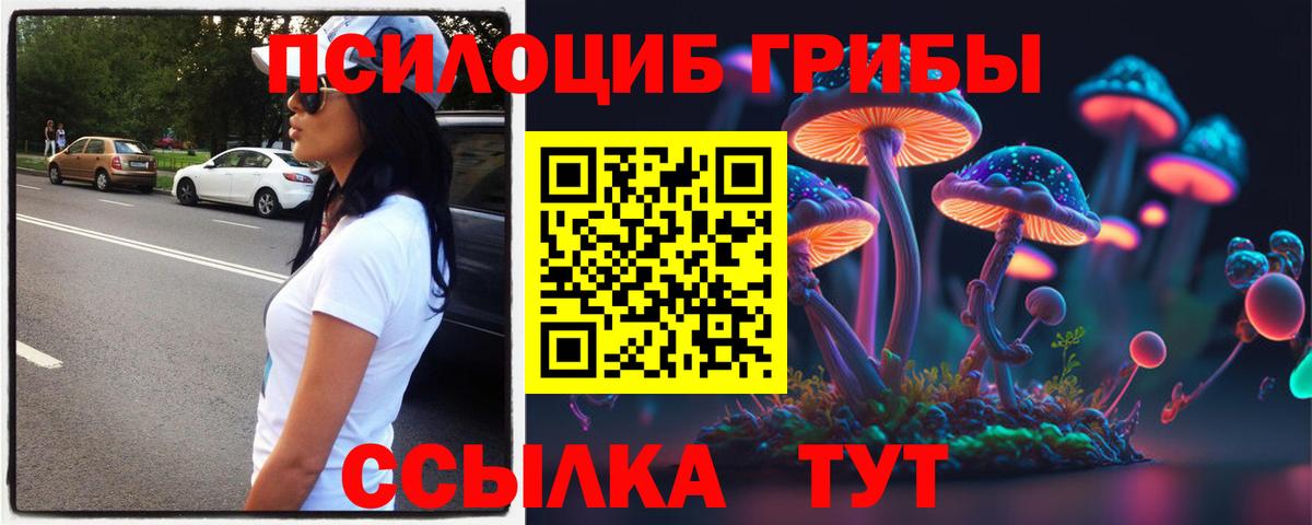 Галлюциногенные грибы GOLDEN TEACHER  Алейск 