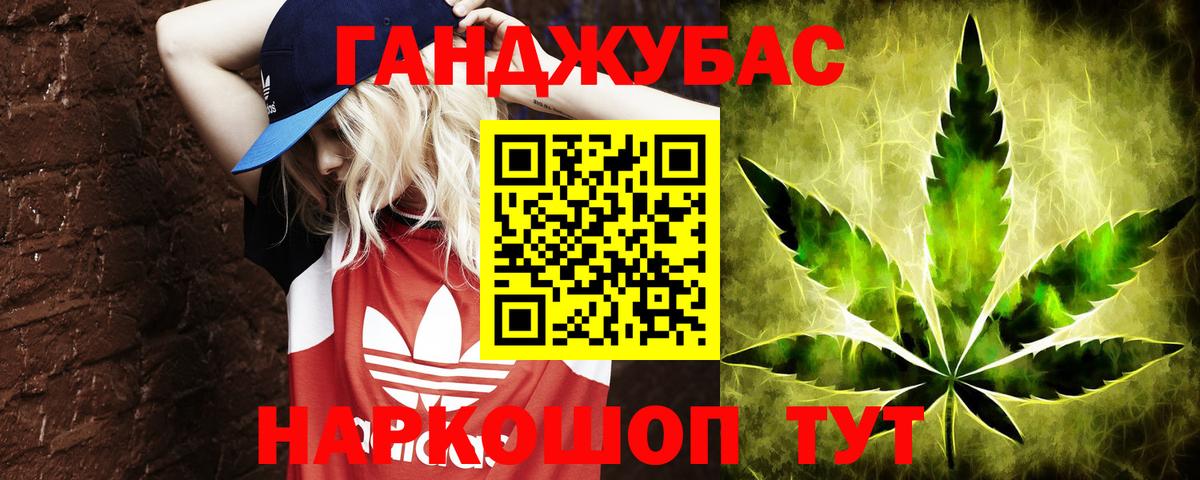 Марихуана гибрид  Алейск  Канабис планчик  Канабис MAZAR 