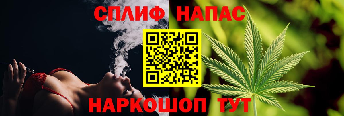 Бошки Шишки планчик Алейск